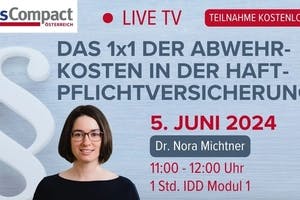 IDD-Webinar mit Nora Michtner und Spartenwissen Haftpflicht 24/7 einfach abrufen