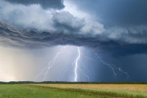 ÖHV: Unwetter verursacht 1,4 Mio. Euro Schaden in Oberösterreichs Landwirtschaft