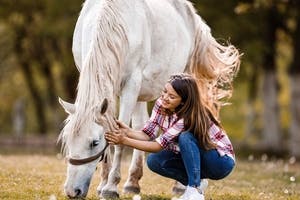 Warum Sie auch Pferde absichern sollten 
